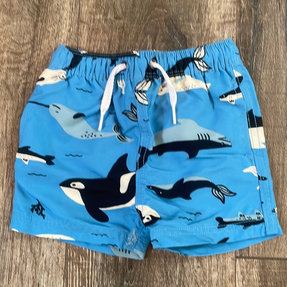 Hannah Anderson sea life swim trunks size 18-24 months
